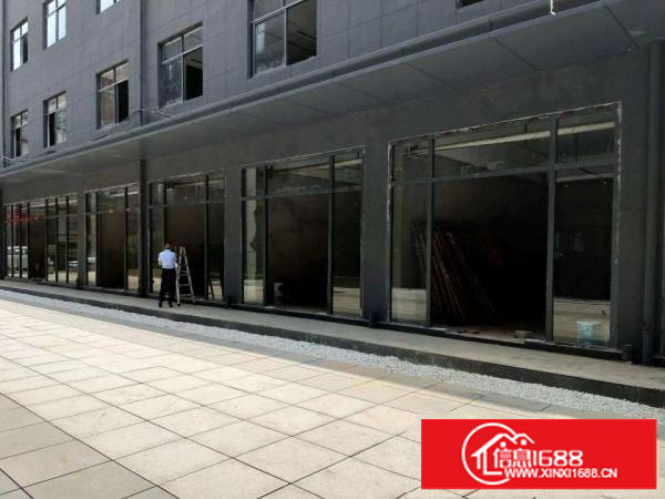 大浪商业中心新出改造大量商铺出租大小面积都有