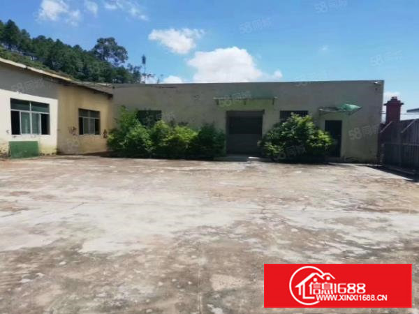 塘厦龙背岭钢构独院1400平，滴水6米微偏可噪音粉尘污染行