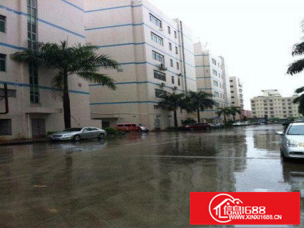 民乐科技园新出4楼800平带装修厂房招租