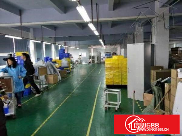 良安田二三楼2400平方带装修厂房