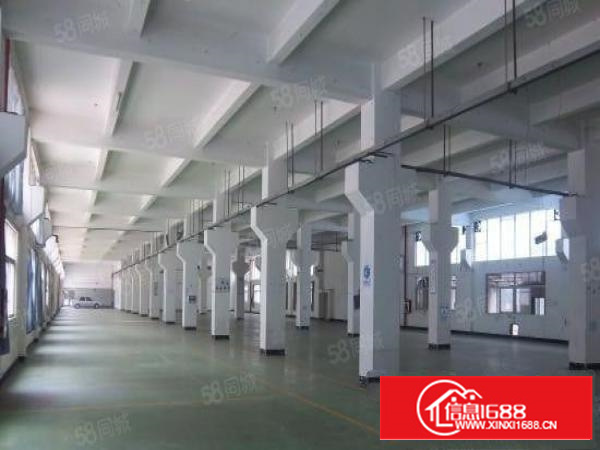 万江豪华工业园多栋厂房1000平方起租