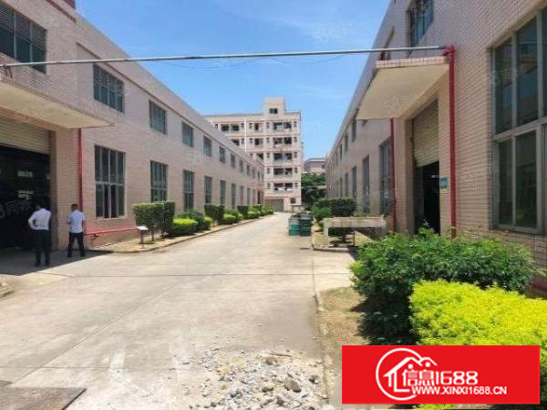 坪山比亚迪对面香江工业园新出单一层钢构厂房1500平方出租