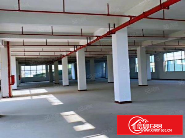 高科技产业园新出厂房招租，带政府补贴，带现成环评，可以分租