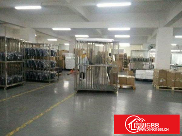 坂田有行吊带隔热瓦龙岗大道旁简易厂房1800平