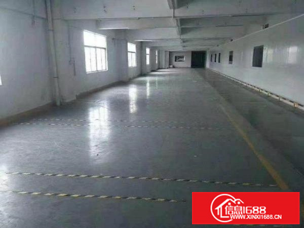 惠阳经济开发区标准花园式独院厂房8600平米出租