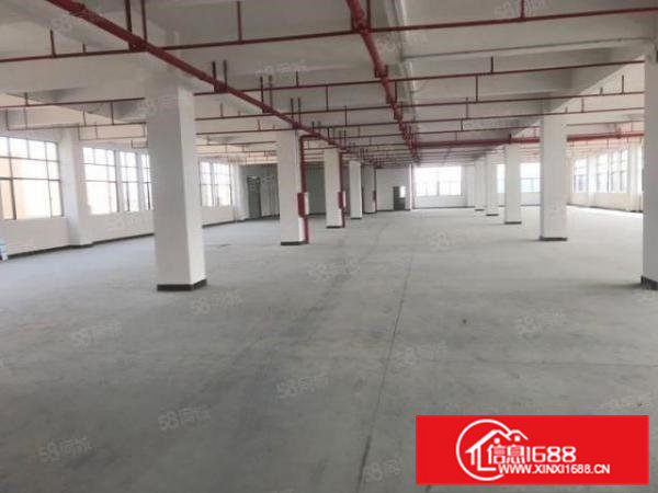 10元急租大朗洋乌独院一二楼2000平方厂房带现成牛角位