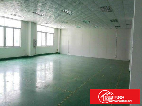 （出租）660平带装修、适合做办公、贸易、、电