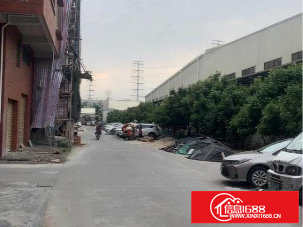 高埗镇冼沙村仓库出租