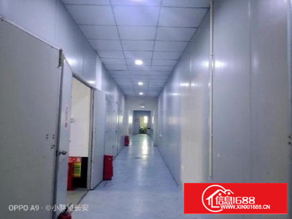 （非中介）业主直租厂房