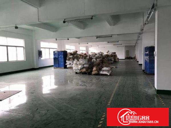 坑梓全新装修标准独院红本厂房6950平米诚租