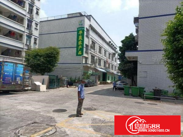 南岭村9600平方厂房出租