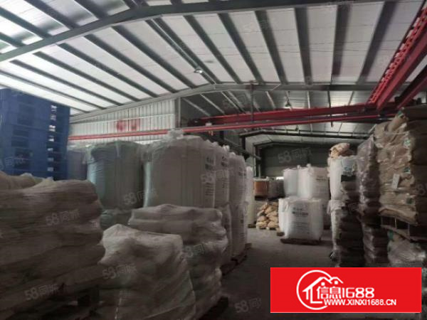 石排镇现空四个原房东独院单一层一超大空地，交通便利