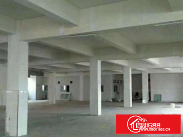 万江1000、2000、3000平方1出租