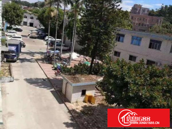 出租观澜牛湖新出厂房/仓库交通方便