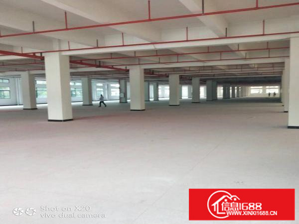 企石镇独门独院标准厂房出租