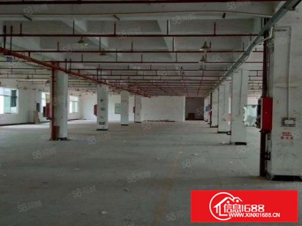 常平独院厂房出租13层6000平宿舍2000平（可分租）