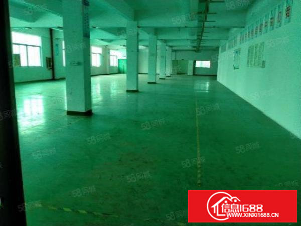 大望工业区独门独院厂房，可分租