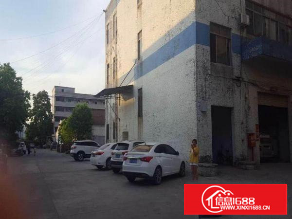 塘厦石鼓村800平米一楼标准厂房，带办公室，临石马/清湖头