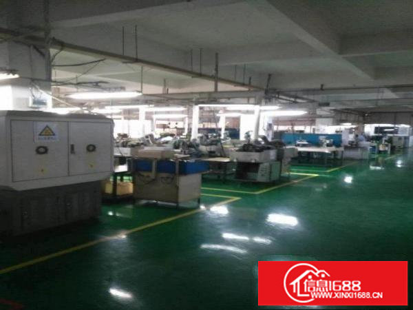 东莞原房东独院40000平方无公摊14元出租