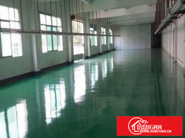 出租仲恺潼侨全新无尘车间1200平米带办公室