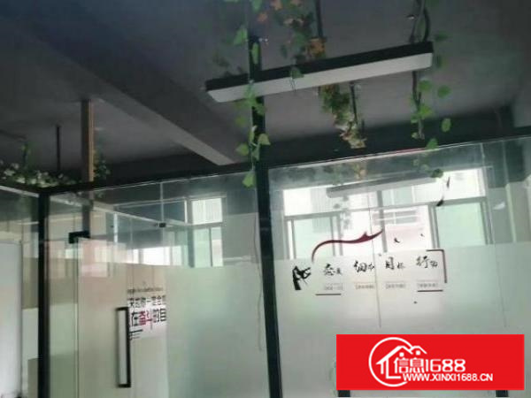 新出175㎡（3 1隔间）特价办公室