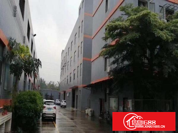 广佛交界和桂工业园17100方独院厂房招租，可分租