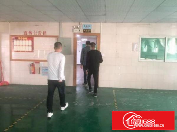 全新厂房出租，1500～2500平可分租