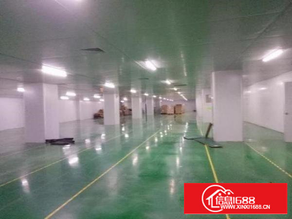 西乡无尘车间厂房整层2300平米对外招租