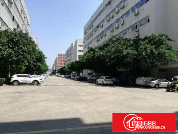 厚街大型成熟工业区带地平漆带有消防喷淋独栋招租