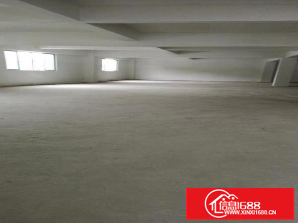 横岗六约地铁口附近新出层高5米一楼600平标准厂房