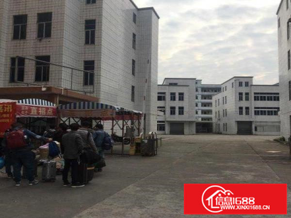 常黄路常平，大朗，黄江厂房5000平米