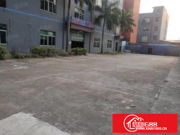 龙岗龙东单层面积2000平厂房出租带装修大小分租一楼6米高