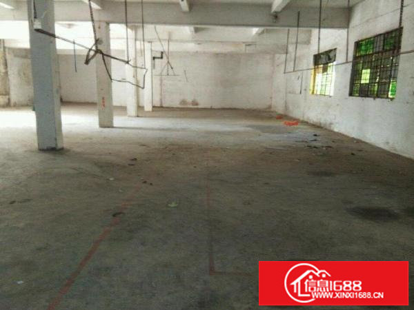 平湖独院500-3000平米可分租