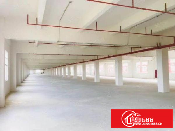 石排标准厂房3300方现房出租，租17元，水电齐全，消防喷淋