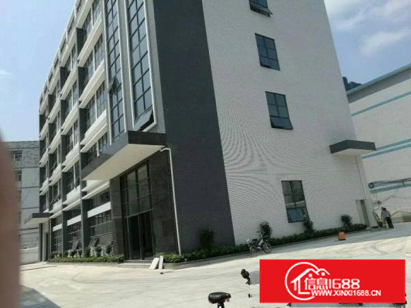 自用厂房分租一楼1200平无公摊水电齐全16块