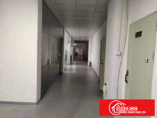 高速旁！价格实惠！南栅楼上电子厂1700平整层出租