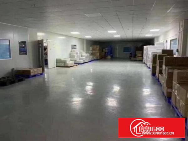 沙井共和原房东精装修厂房800-平米