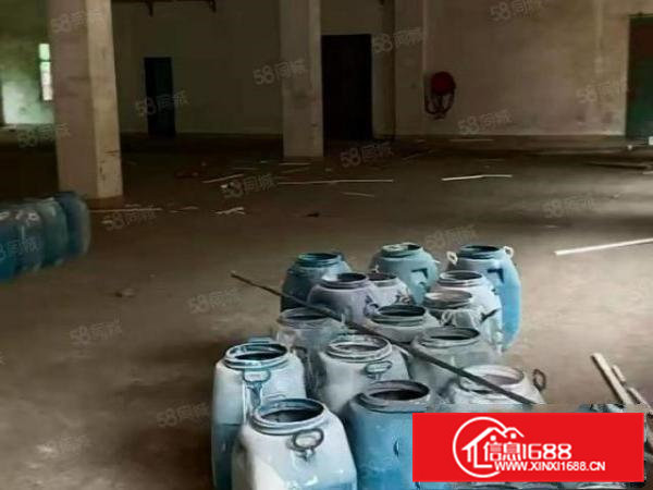 大朗新马莲公园对面原房东独院单一层高5米1350平厂房出租