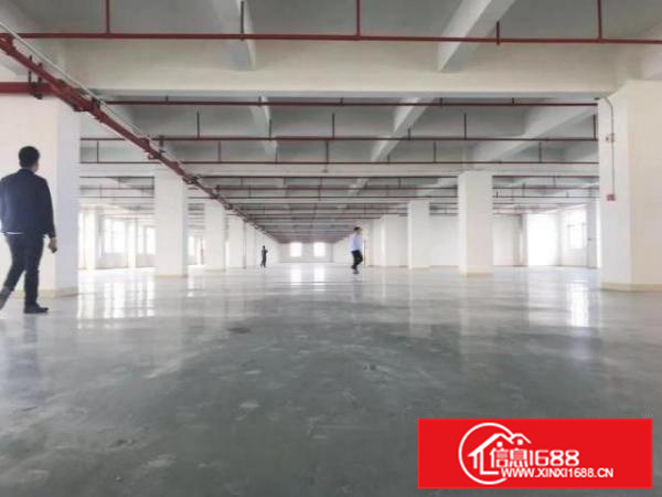 形象好，大货梯，可办环评，厂房出租，勒流2000方