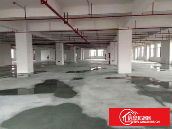 万江总站附近独院标准厂房楼上1500平方带消防喷淋现成办公室