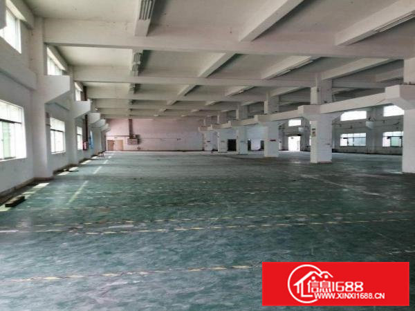 原房东独院标准厂房1层，1500平，高8米。合适五金模具等