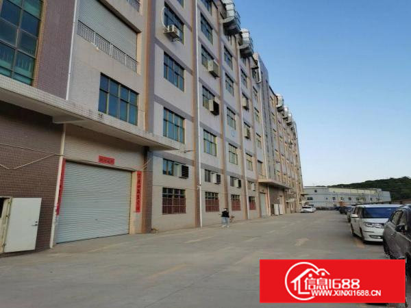 凤岗碧湖大道旁一二楼各1000平米出租6米高九成新厂房