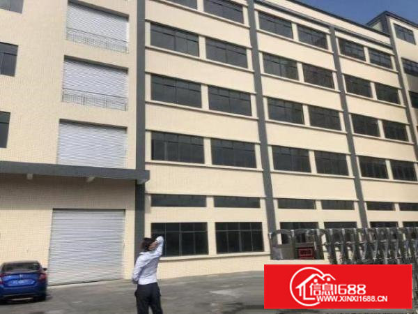 企石原房东全新标准独院厂房出租