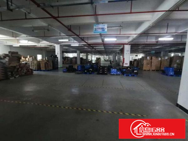 寮步缪边带豪华装修标准独院厂房一楼1000平方出租