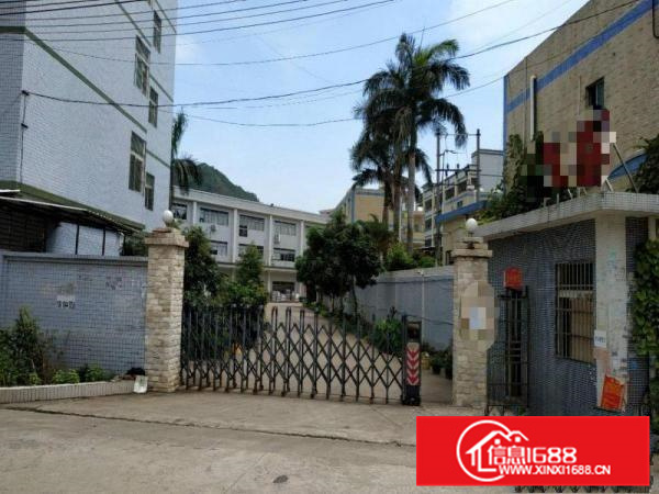 出租惠阳新墟原房东红本独院7890平方证件齐全可分租