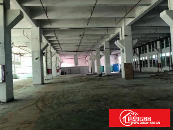 整栋出租，独门独院1-7层，每层3100平，可以分租