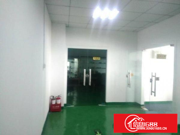 惠阳新圩新出2300平独院钢构厂房滴水8米出租