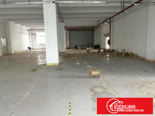 南山西丽大磡科技园1200平可分租服装加工仓库摄影