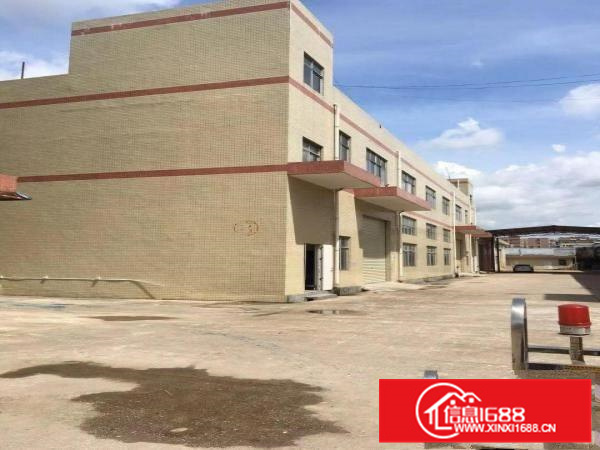 惠阳秋长新塘新出标准独院加钢构16000平米独院可分租