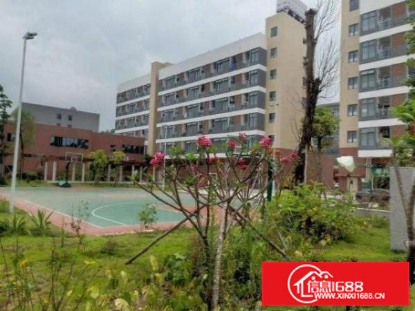 清华大学合作的产业园独栋出租免费办营业执照